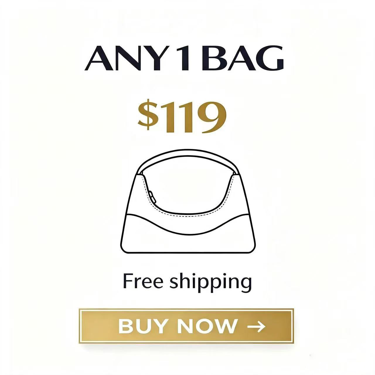 1bag
